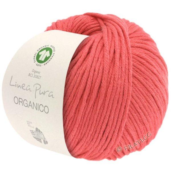 lana-grossa-organico-069_raparperi