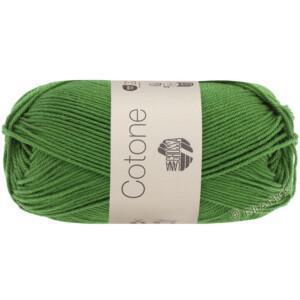 Lana Grossa Cotone 50g